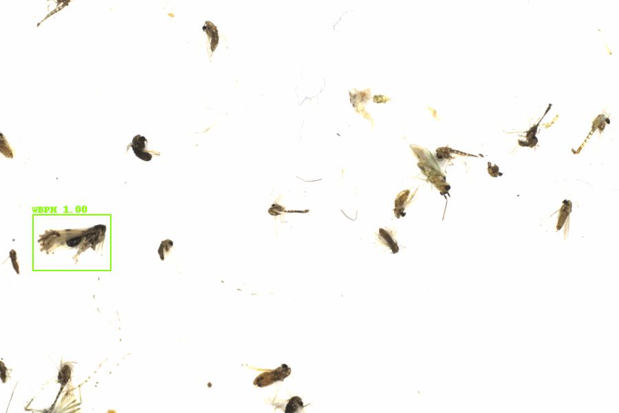 Fullscreen Image