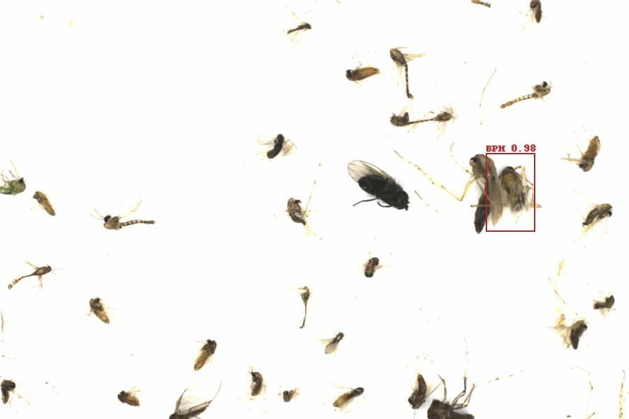Fullscreen Image
