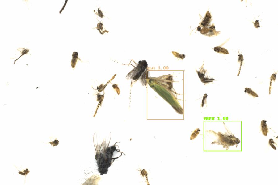 Fullscreen Image