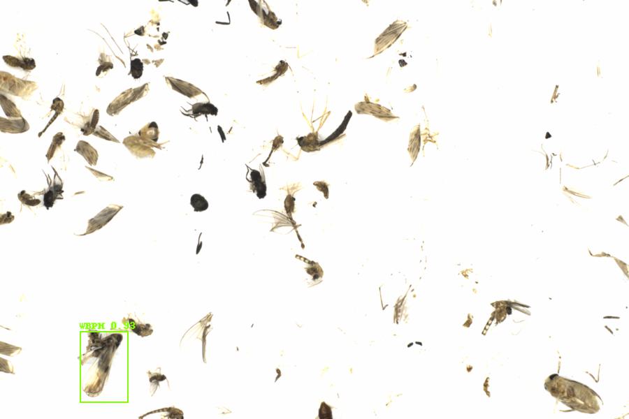 Fullscreen Image