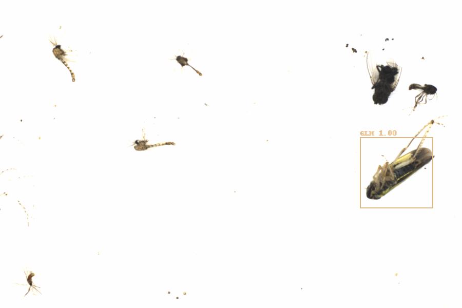Fullscreen Image
