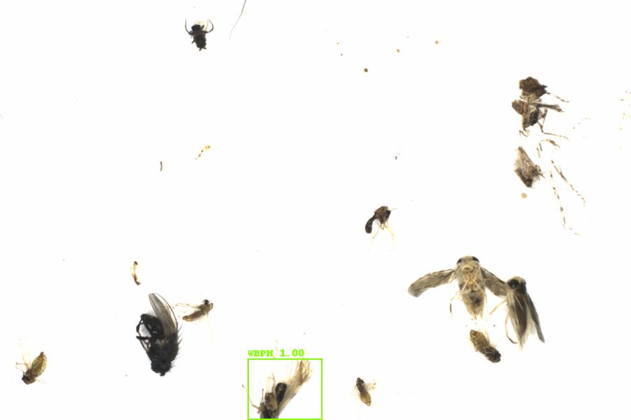 Fullscreen Image
