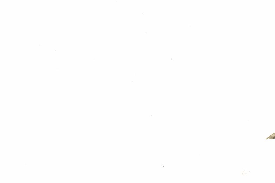 Fullscreen Image
