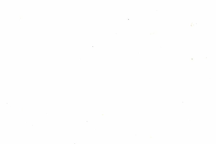 Fullscreen Image