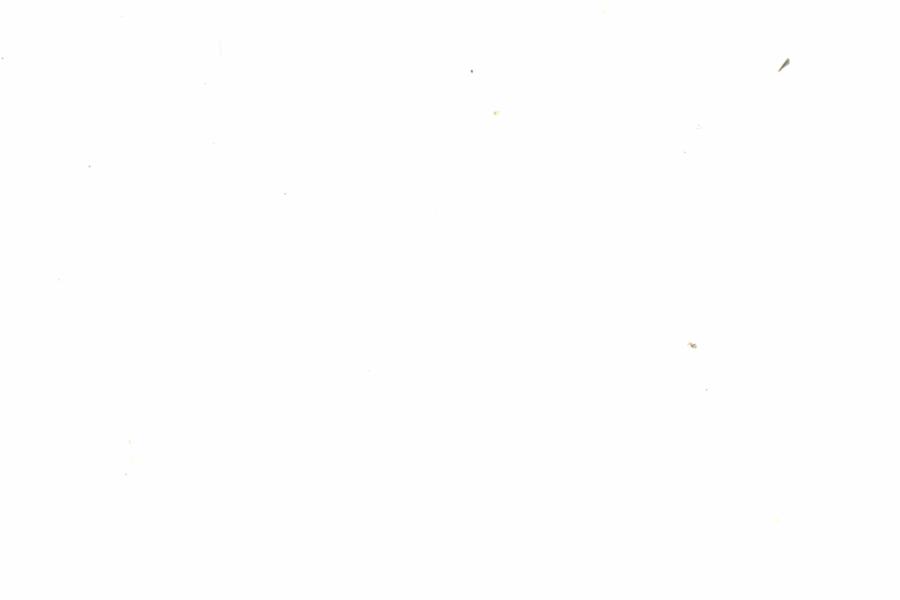 Fullscreen Image