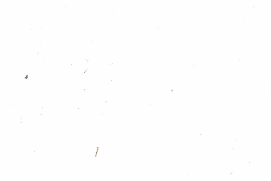 Fullscreen Image