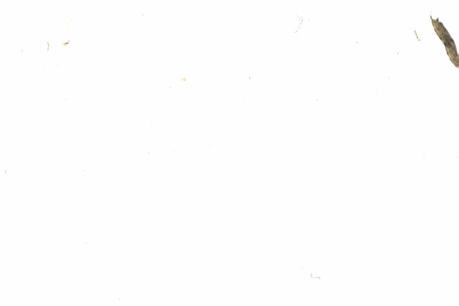 Fullscreen Image