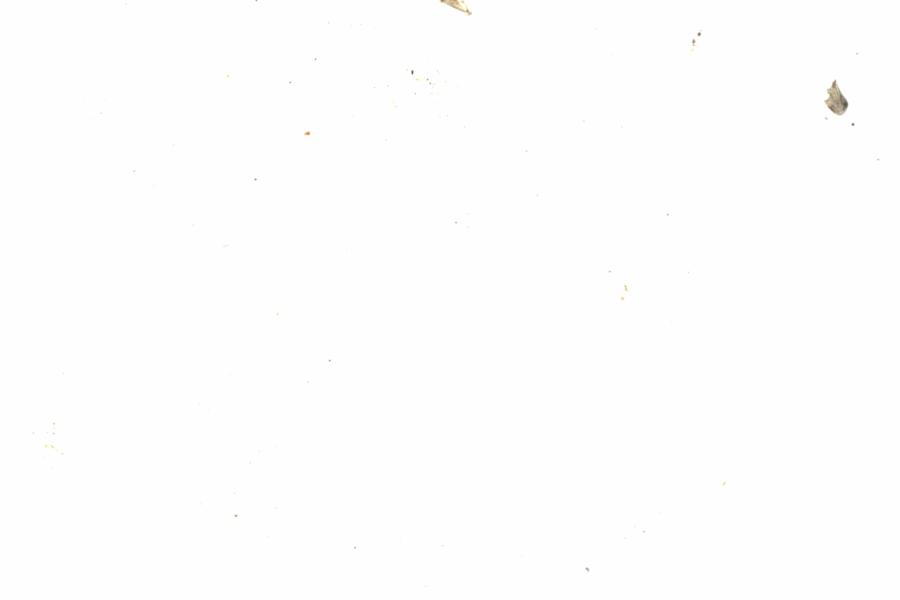 Fullscreen Image