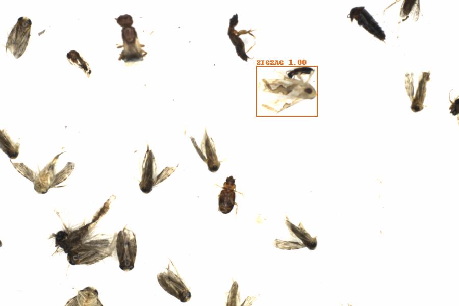 Fullscreen Image
