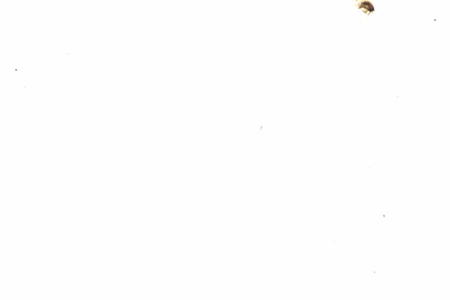 Fullscreen Image