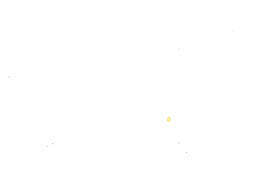 Fullscreen Image