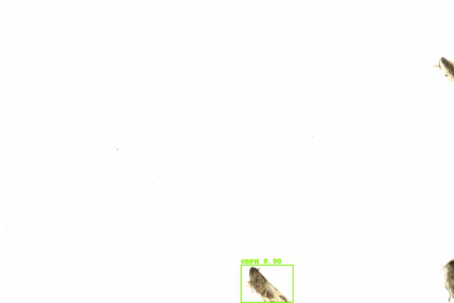 Fullscreen Image