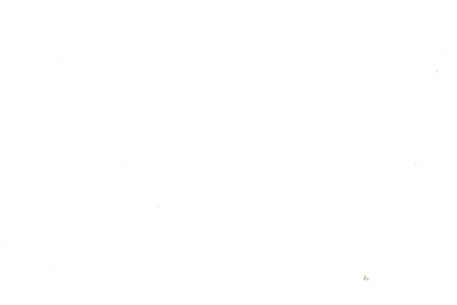 Fullscreen Image