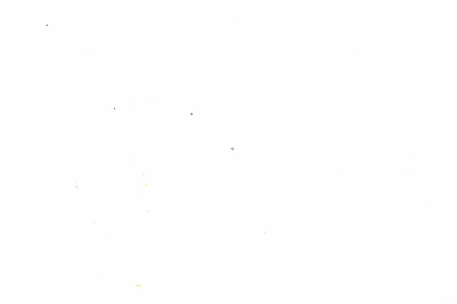 Fullscreen Image