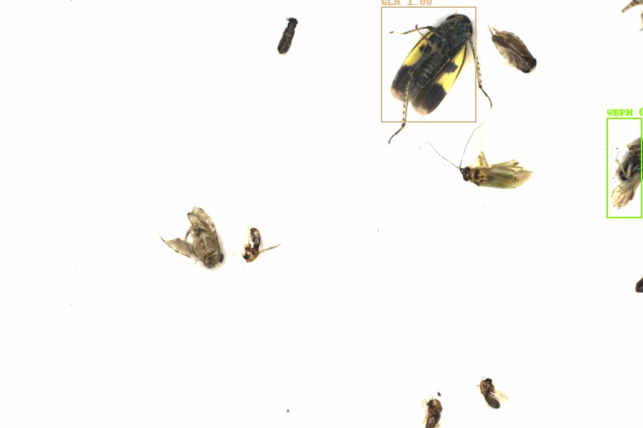 Fullscreen Image