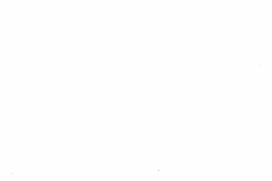 Fullscreen Image