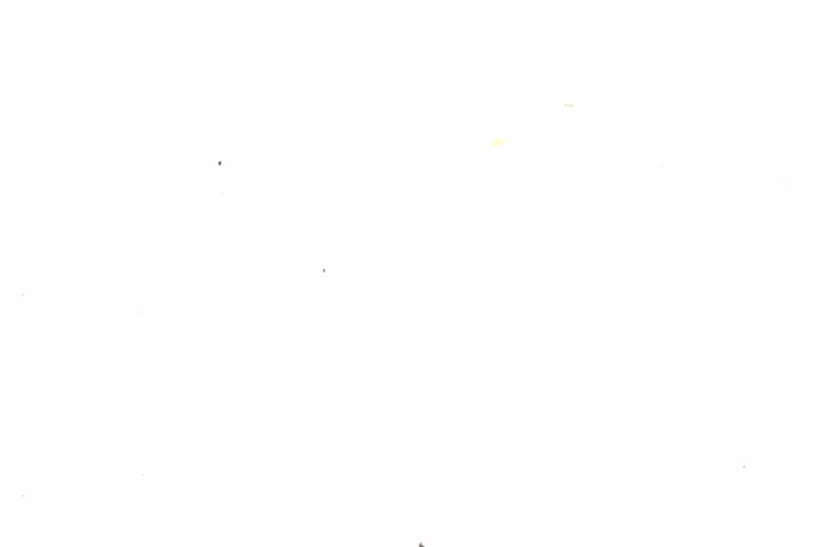 Fullscreen Image