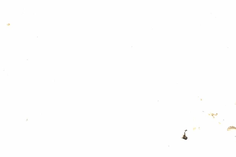 Fullscreen Image