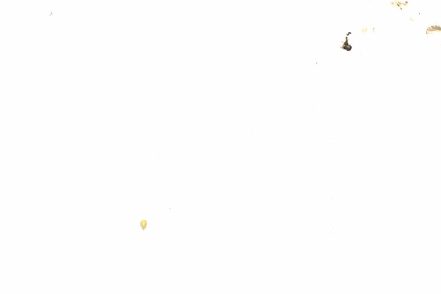 Fullscreen Image