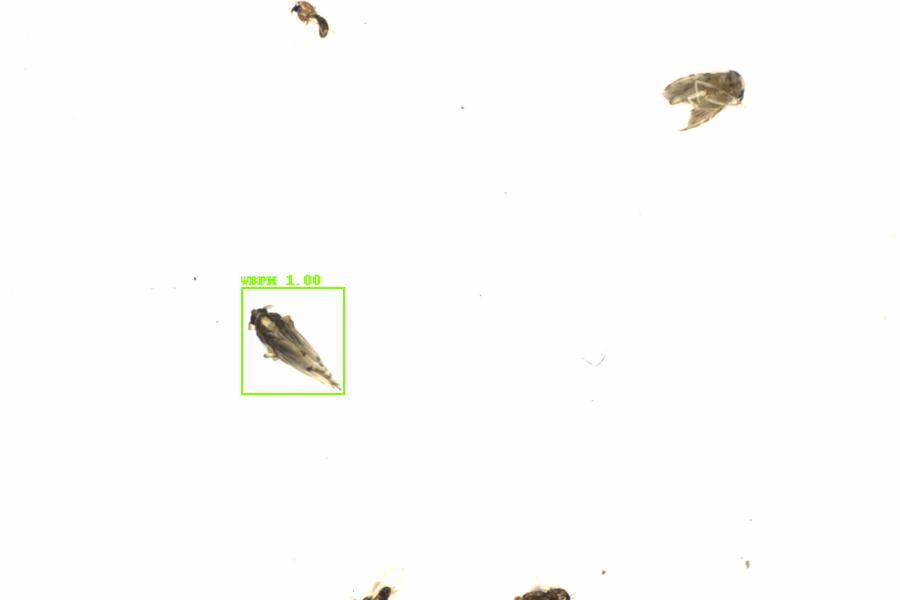 Fullscreen Image