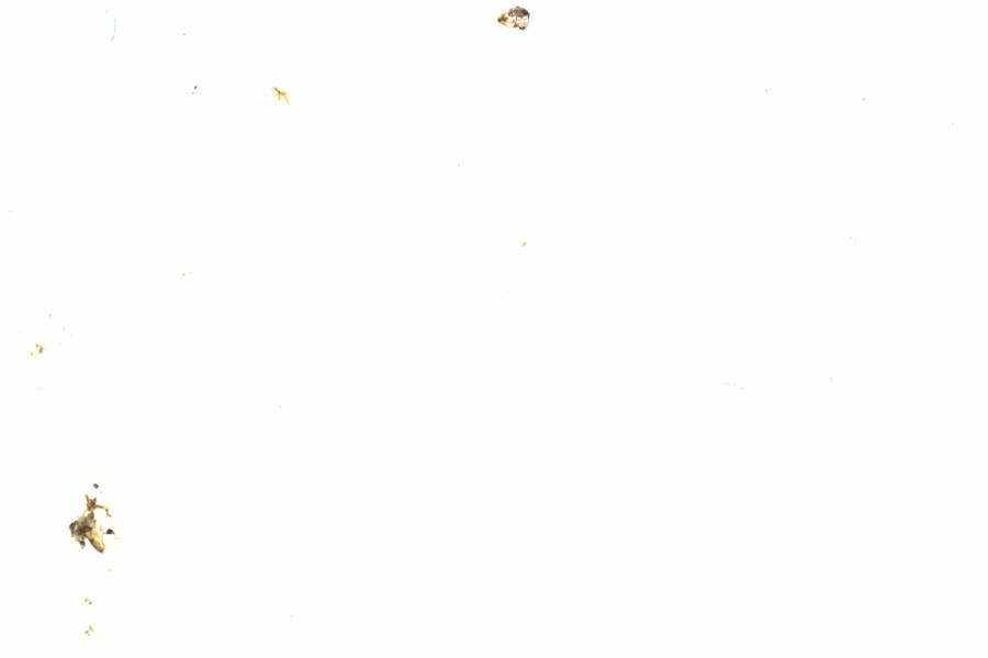 Fullscreen Image