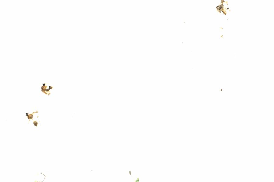 Fullscreen Image