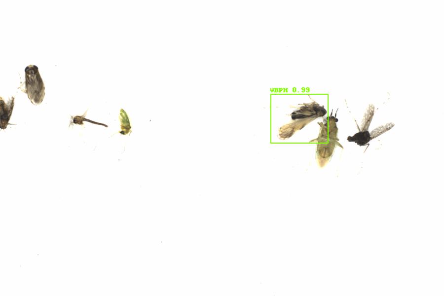 Fullscreen Image