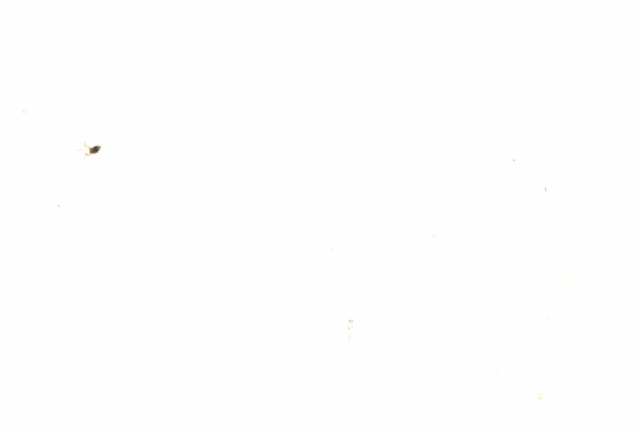 Fullscreen Image