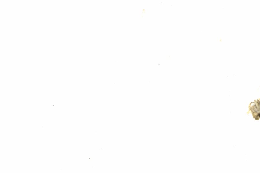 Fullscreen Image