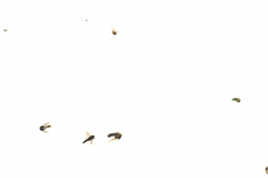 Fullscreen Image