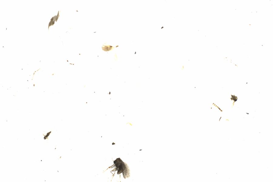 Fullscreen Image