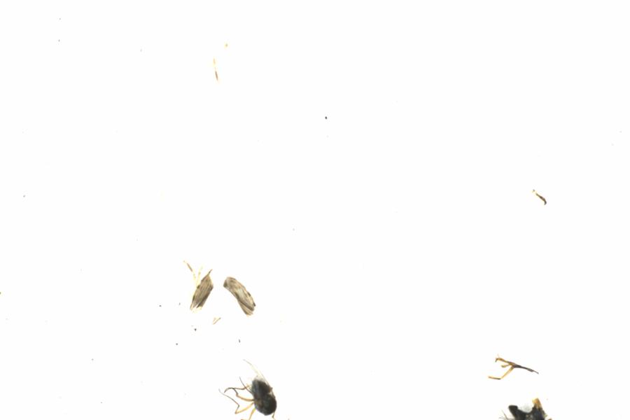 Fullscreen Image