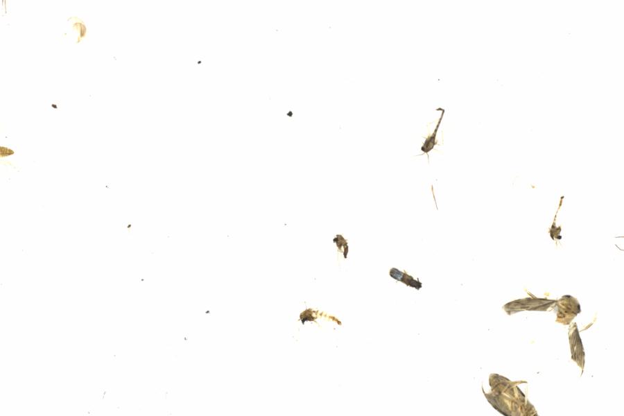 Fullscreen Image