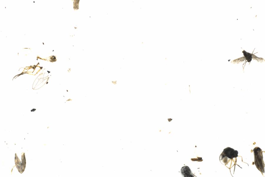 Fullscreen Image