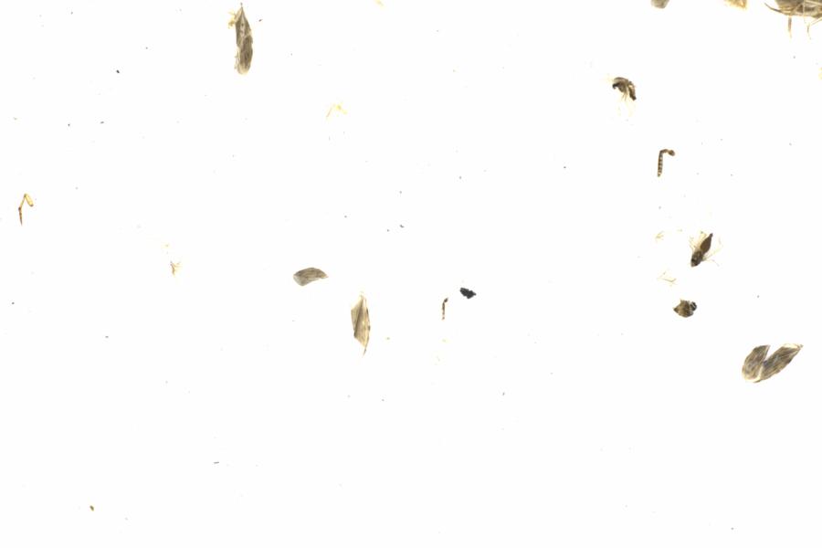 Fullscreen Image