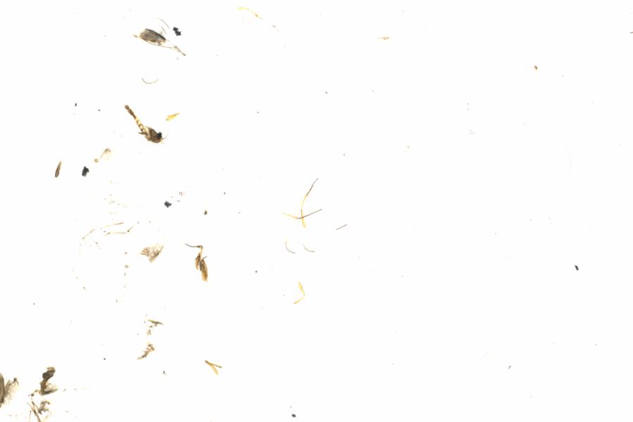 Fullscreen Image