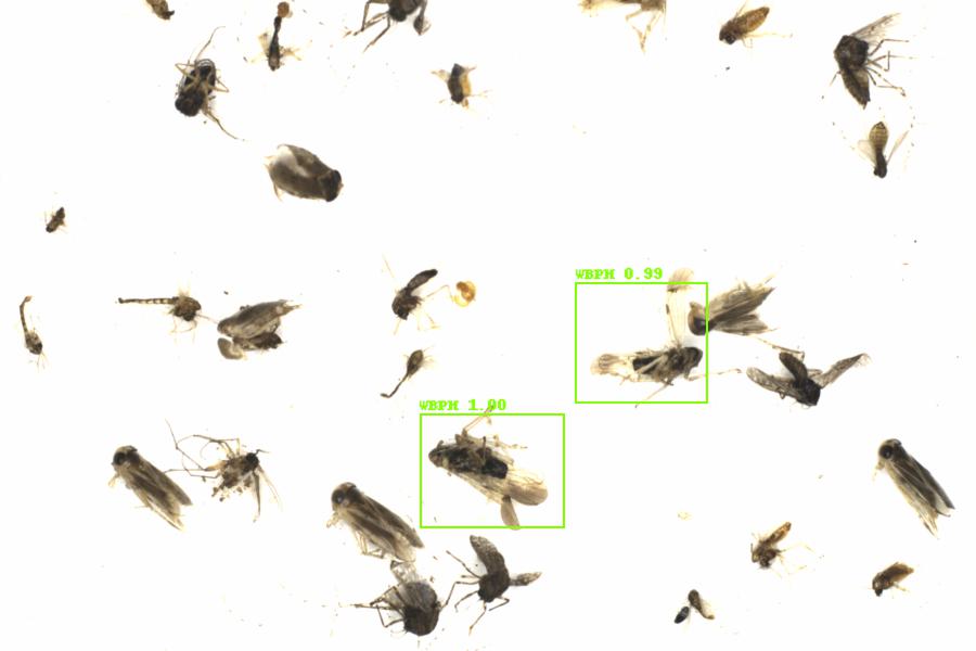 Fullscreen Image