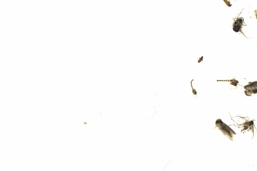 Fullscreen Image