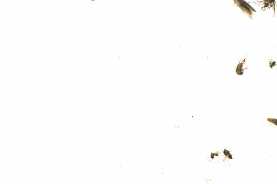 Fullscreen Image