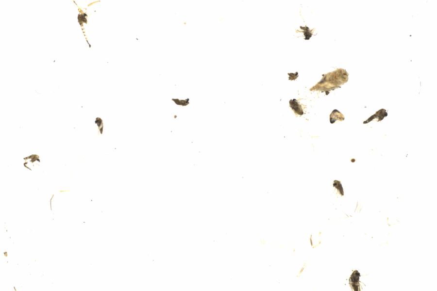 Fullscreen Image