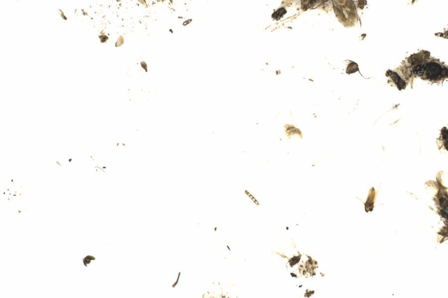 Fullscreen Image