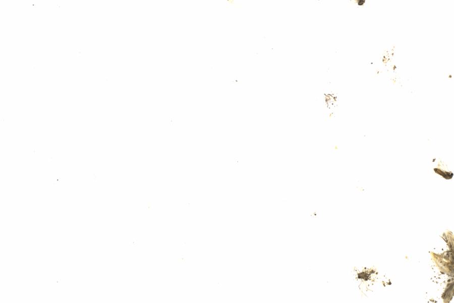 Fullscreen Image