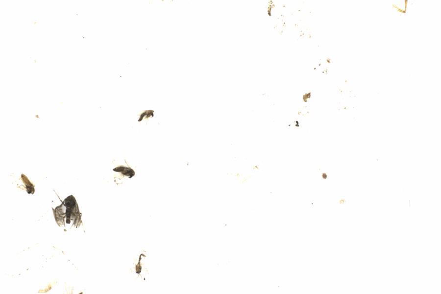 Fullscreen Image