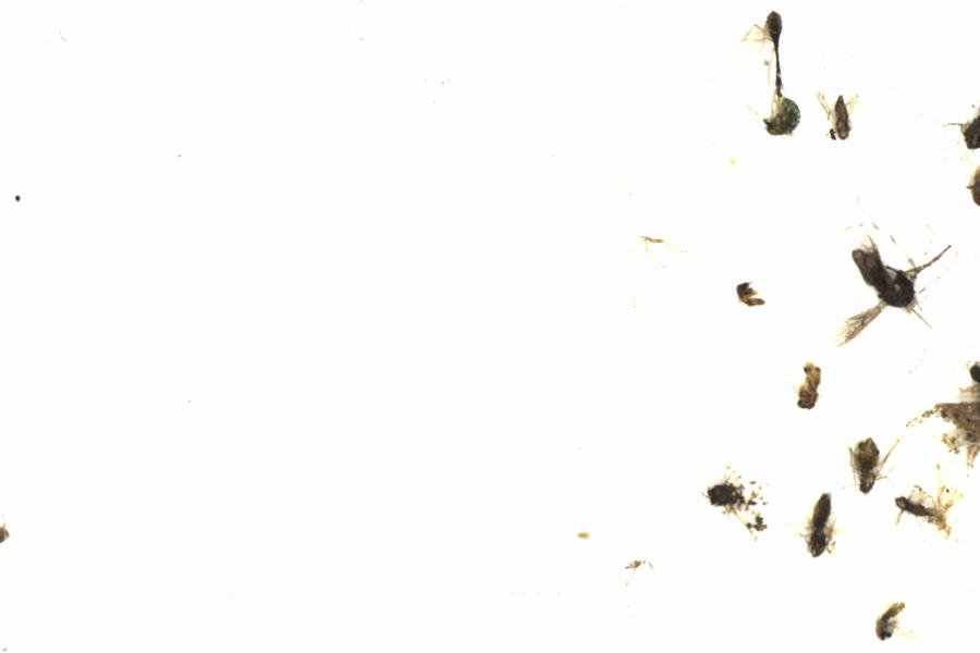 Fullscreen Image