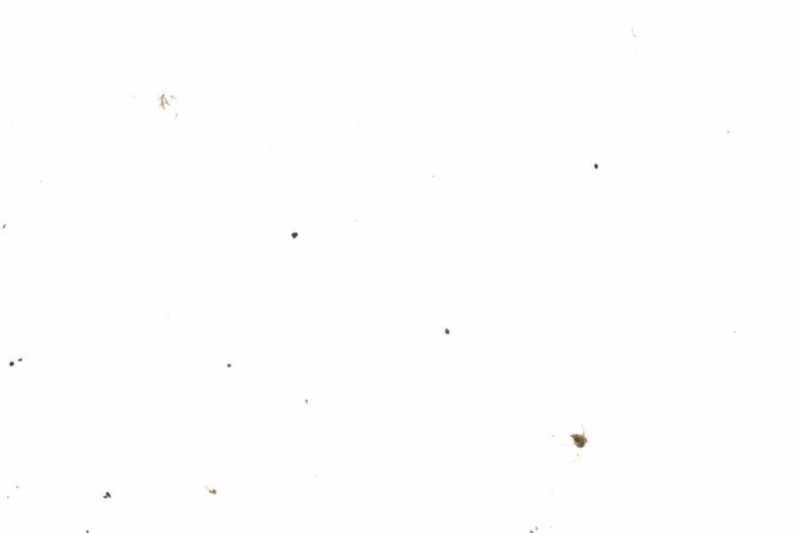 Fullscreen Image