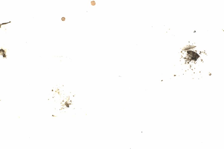 Fullscreen Image