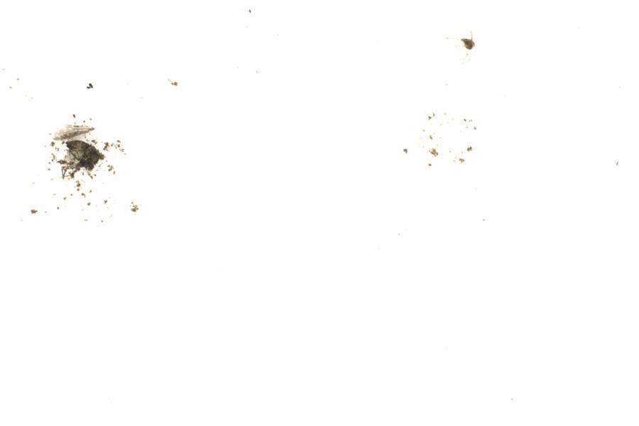 Fullscreen Image