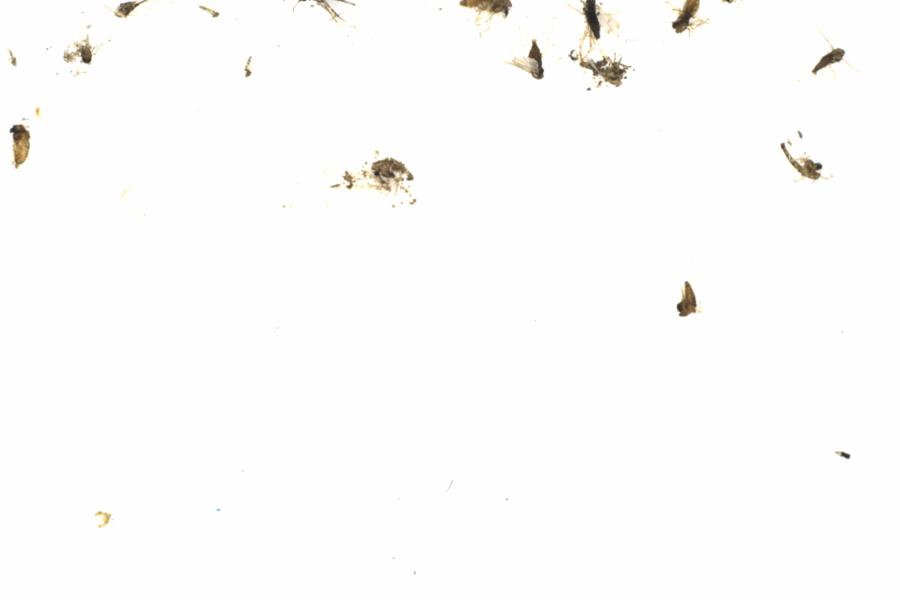 Fullscreen Image