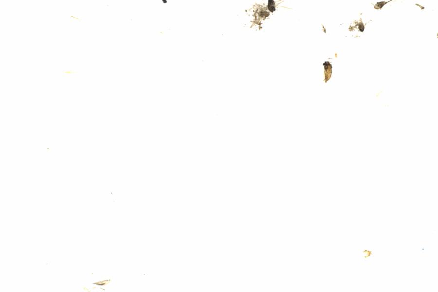 Fullscreen Image