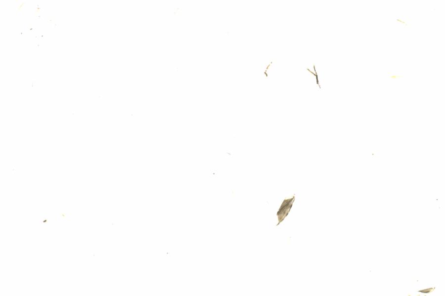 Fullscreen Image